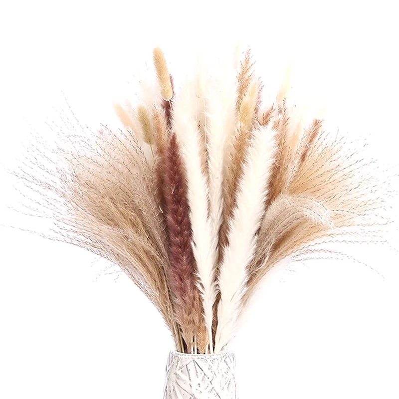 95Pcs Pampas Grass Boho Home Decor Dried Flowers, 17.72 Inch Natural Dried Pampas Grass, Reed, Bunny Tails
95Pcs Pampas Grass Boho Home Decor Dried Flowers, 17.72 Inch Natural Dried Pampas Grass, Reed, Bunny Tails