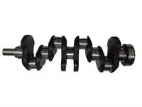 Crankshaft TFR for 1711