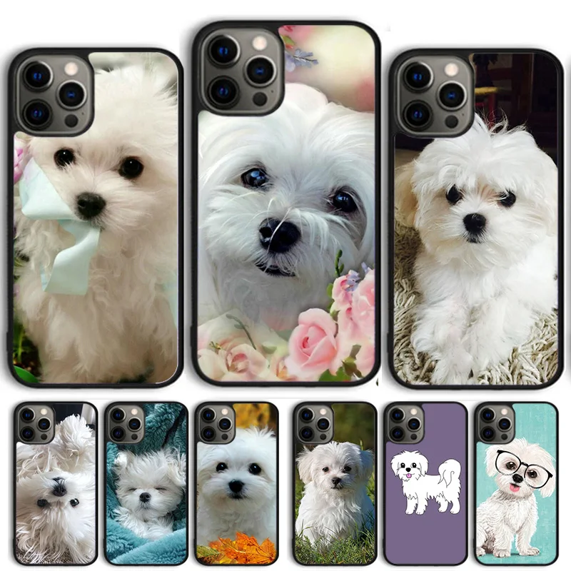 Maltese Dog Puppy Cute Phone Case Cover For iPhone 13 12 Pro Max mini 11 Pro Max XS X XR 5 6S 7 8 Plus SE 2020 Coque Shell
Maltese Dog Puppy Cute Phone Case Cover For iPhone 13 12 Pro Max mini 11 Pro Max XS X XR 5 6S 7 8 Plus SE 2020 Coque Shell