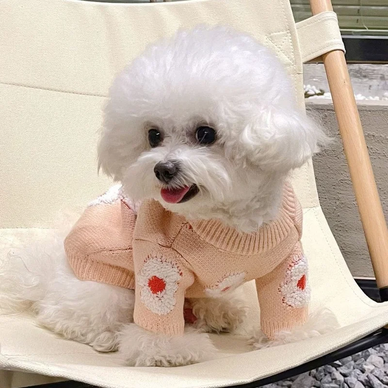 Pet Dog Girl Clothes for Small Dogs Kawaii Flowers Embroidered Dog Jumper Winter Warm Dog Pullover Puppy Chihuahua Sweater
Pet Dog Girl Clothes for Small Dogs Kawaii Flowers Embroidered Dog Jumper Winter Warm Dog Pullover Puppy Chihuahua Sweater