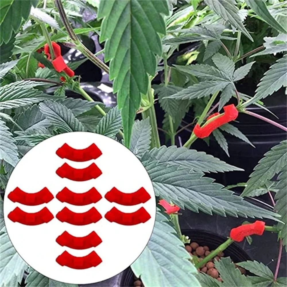 5Pcs 90 Degree Plant Benders Trainer Growth Manipulation Tutors For Plants Clips Bending Twig Clamps Branche Accessories
5Pcs 90 Degree Plant Benders Trainer Growth Manipulation Tutors For Plants Clips Bending Twig Clamps Branche Accessories