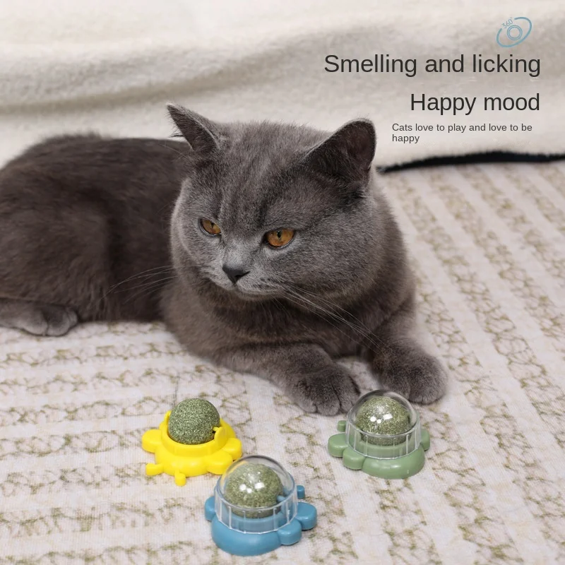 Catnip Balls for Cats Wall Bee Shape Cat Bite Toy Wall Catnip Roller for Cat Licking Catnip Roller Ball Wall Toys Rotating
Catnip Balls for Cats Wall Bee Shape Cat Bite Toy Wall Catnip Roller for Cat Licking Catnip Roller Ball Wall Toys Rotating