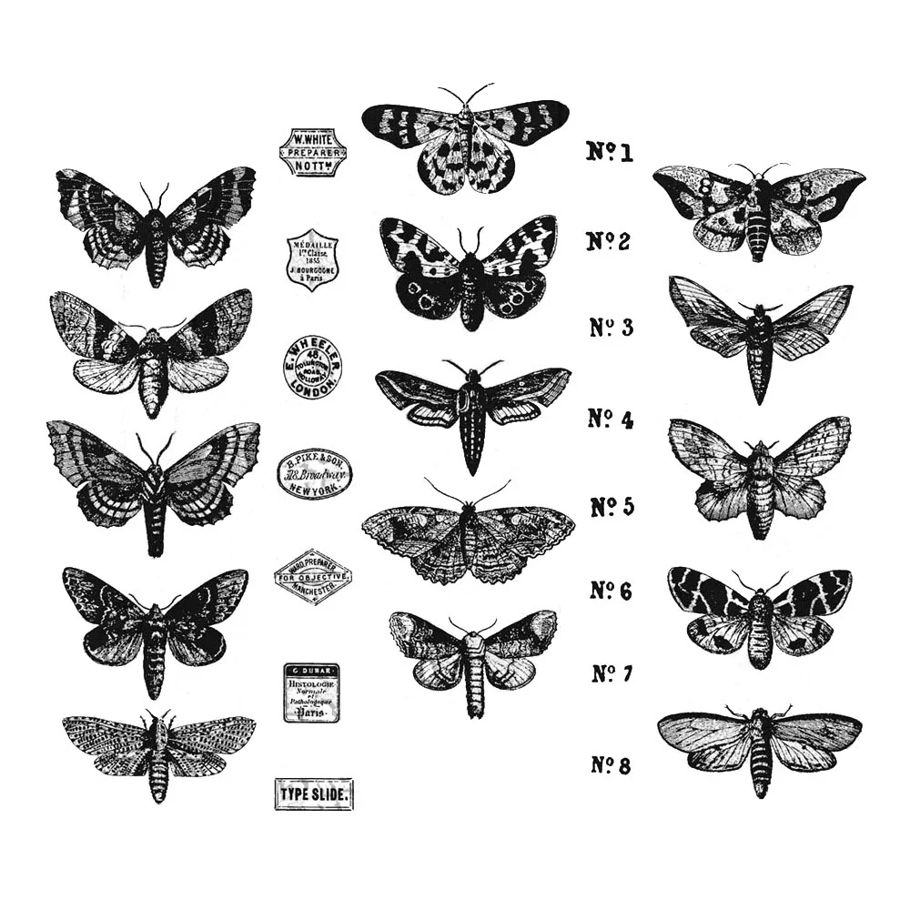 Moth Butterfly Clear Stamps No Cutting Dies For Diy Handmade Paper Card Embossing Decoration Photo Album Craft Supplies New 2023
Moth Butterfly Clear Stamps No Cutting Dies For Diy Handmade Paper Card Embossing Decoration Photo Album Craft Supplies New 2023