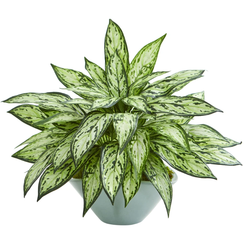 16" Plastic Silver Queen Artificial Plant in Vase, Green Green Plants Room Home Wedding Decoration
16" Plastic Silver Queen Artificial Plant in Vase, Green Green Plants Room Home Wedding Decoration