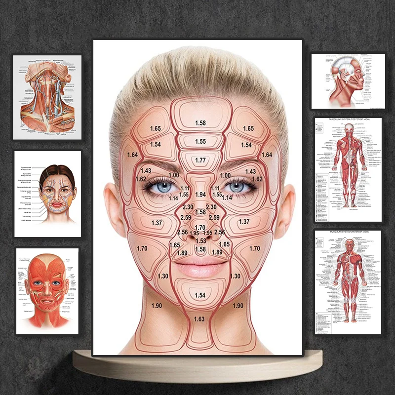 FACE Body Anatomy Muscle Veins Detailed EDUCATIONAL SCIENCE Print Art Canvas Poster For Living Room Decor Home Wall Picture
FACE Body Anatomy Muscle Veins Detailed EDUCATIONAL SCIENCE Print Art Canvas Poster For Living Room Decor Home Wall Picture