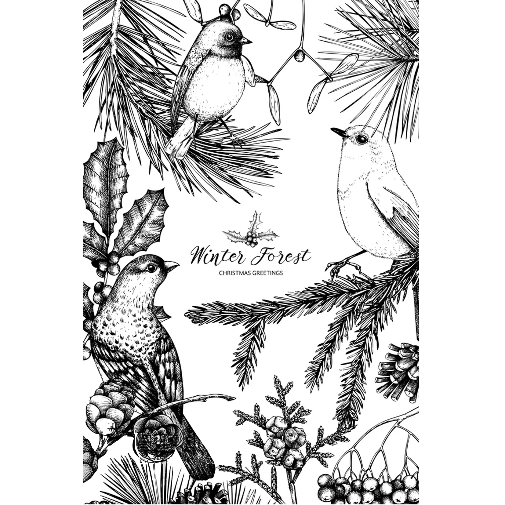 DABOXIBO Bird/Flower Clear Stamps Mold For DIY Scrapbooking Cards Making Decorate Crafts 2020 NEW Arrival
DABOXIBO Bird/Flower Clear Stamps Mold For DIY Scrapbooking Cards Making Decorate Crafts 2020 NEW Arrival