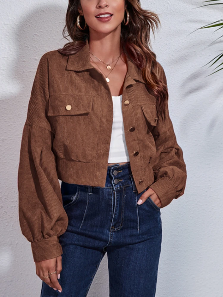 Новинка, весенне-осенние женские топы, Короткие вельветовые куртки с длинными рукавами-фонариками, модные повседневные свободные куртки для женщин, пальто, одежда
Новинка, весенне-осенние женские топы, Короткие вельветовые куртки с длинными рукавами-фонариками, модные повседневные свободные куртки для женщин, пальто, одежда