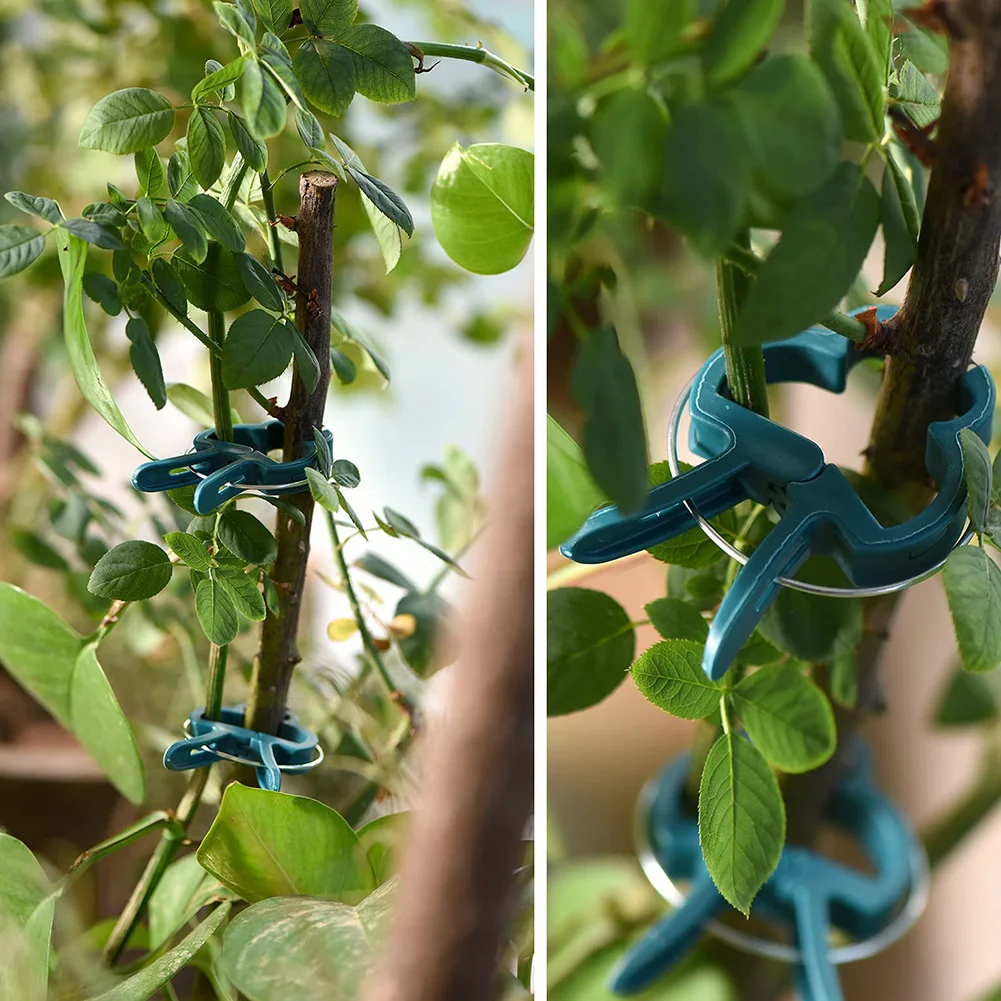Brand New Garden Yard Plant Support Clips Set Climbing Plants For Supporting Vines Gardening Kit Pole Ring Clips
Brand New Garden Yard Plant Support Clips Set Climbing Plants For Supporting Vines Gardening Kit Pole Ring Clips