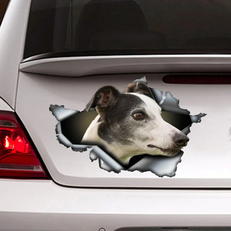 black and white whippet car decal, whippet magnet, black and white whippet whippet sticker, pet decal
black and white whippet car decal, whippet magnet, black and white whippet whippet sticker, pet decal