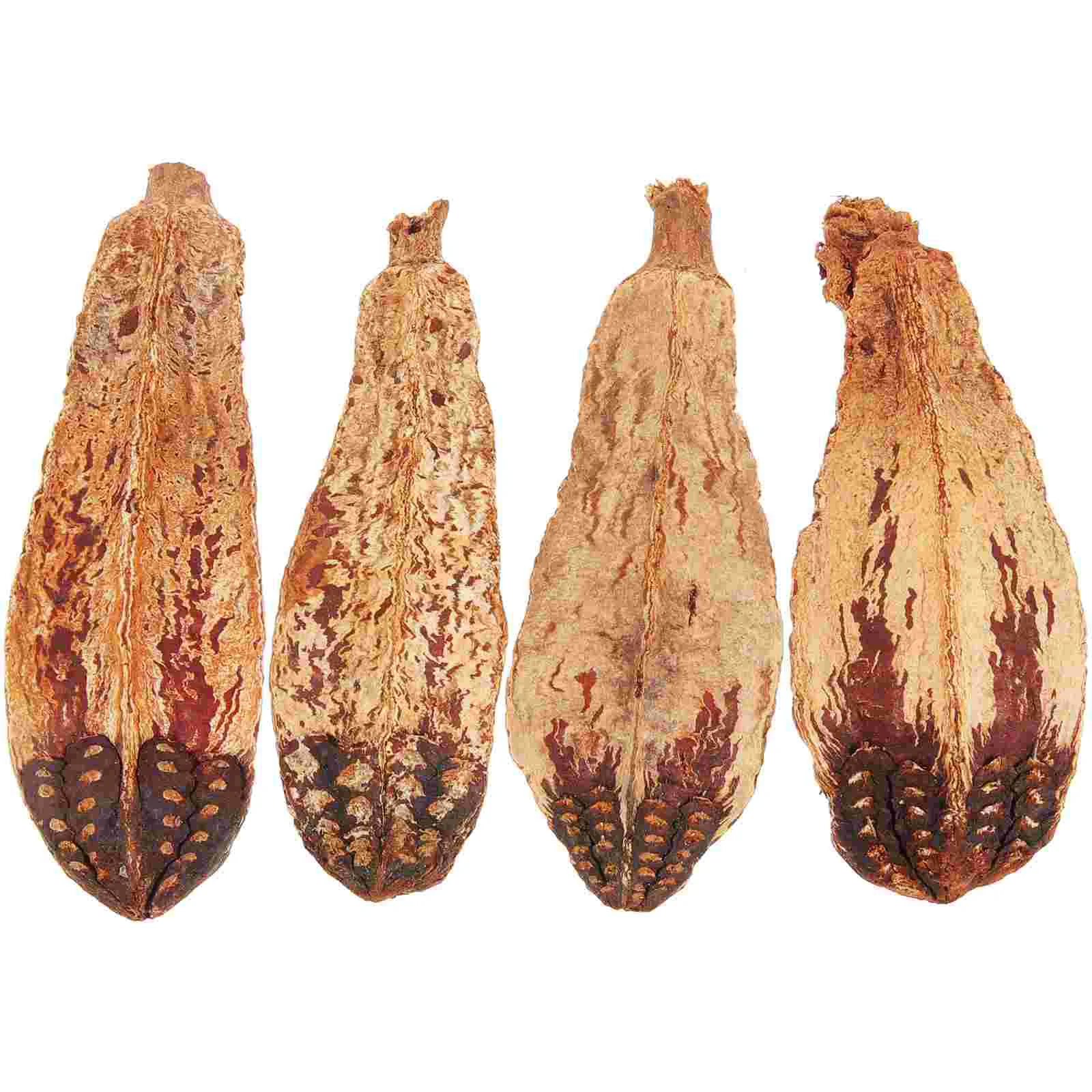 4 Pcs Parrot Chewing Fruit Macaw Cage Foraging Toy Birds Toys Hanging Bite Natural Parrots
4 Pcs Parrot Chewing Fruit Macaw Cage Foraging Toy Birds Toys Hanging Bite Natural Parrots