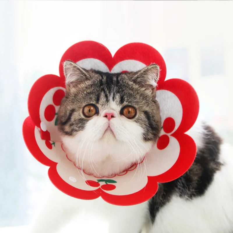 Cat Anti-Bite Lick Collar Dog Collar Pet Accessories Kawaii Cats Dogs Neck Cone Recovery Protective Collar Small Animal Supplies
Cat Anti-Bite Lick Collar Dog Collar Pet Accessories Kawaii Cats Dogs Neck Cone Recovery Protective Collar Small Animal Supplies