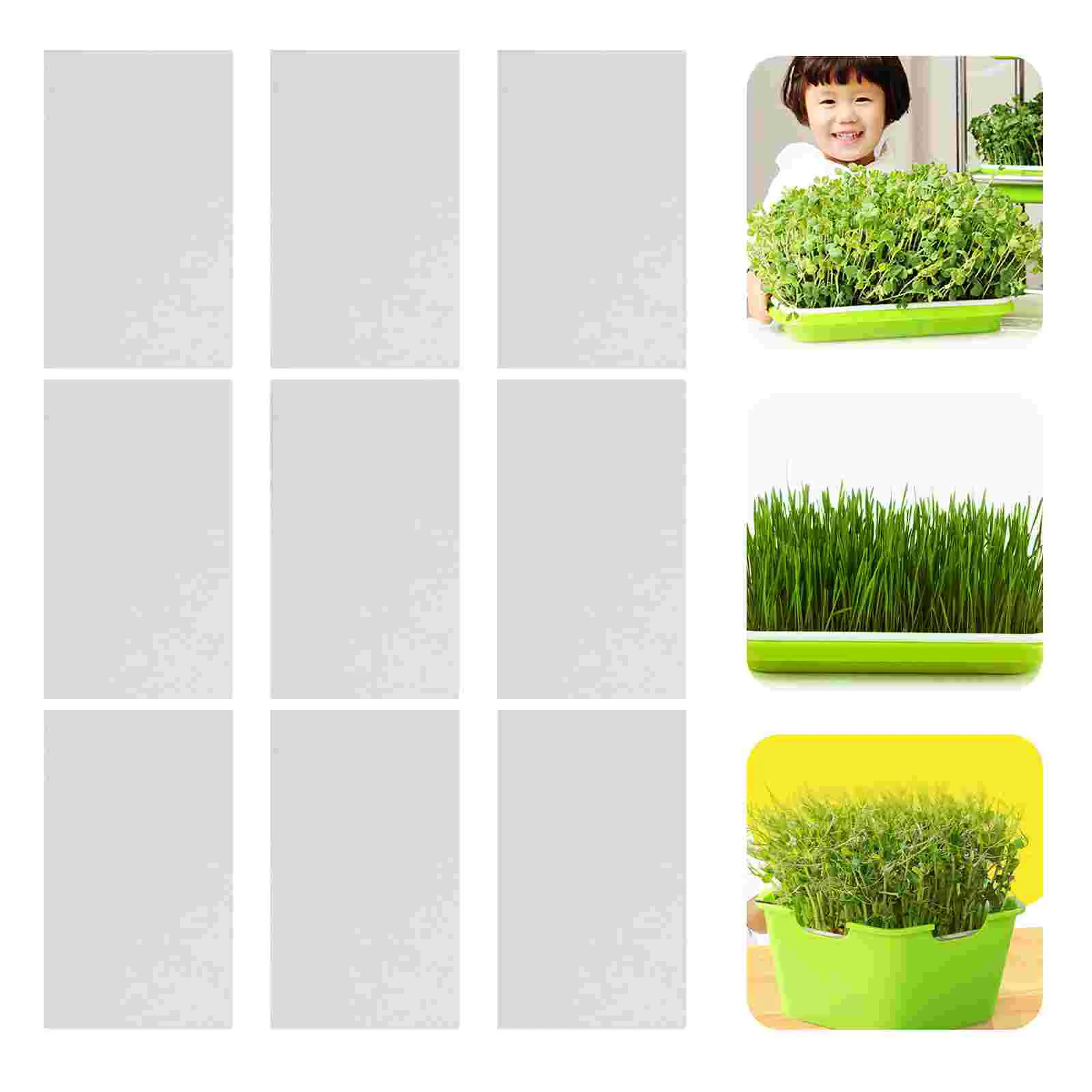 Paper Sprouter Germination Planting Kit Vegetable Nursery Growing Traywheatgrassgerminating Microgreens Sprout Grower Trayskits
Paper Sprouter Germination Planting Kit Vegetable Nursery Growing Traywheatgrassgerminating Microgreens Sprout Grower Trayskits