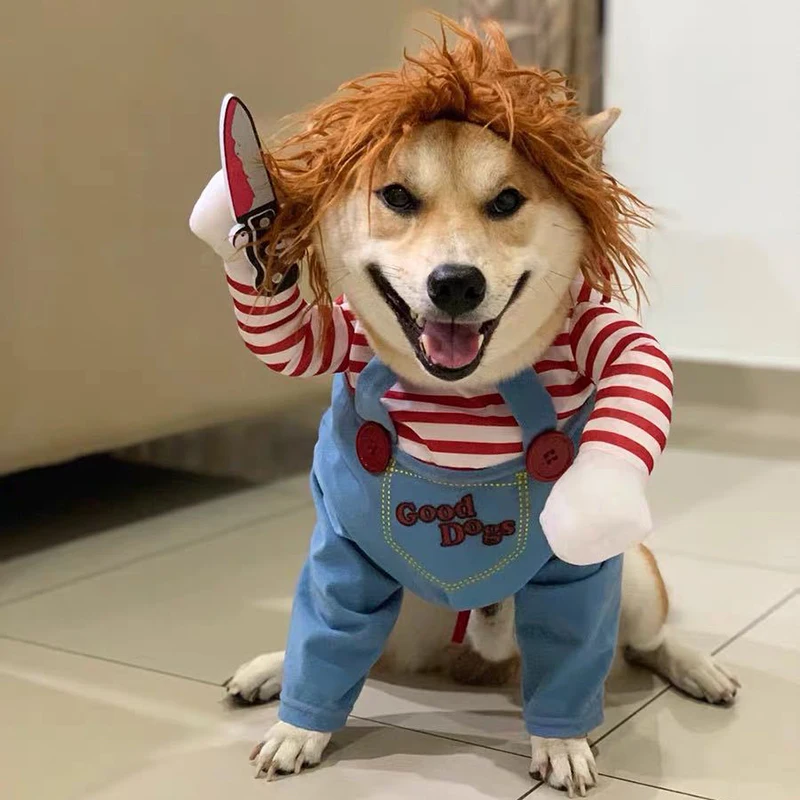 Смешной женский костюм для косплея, костюмы на Хэллоуин, набор ножей для удержания питомца, кошки, собаки, праздничная одежда для вечеринки
Смешной женский костюм для косплея, костюмы на Хэллоуин, набор ножей для удержания питомца, кошки, собаки, праздничная одежда для вечеринки