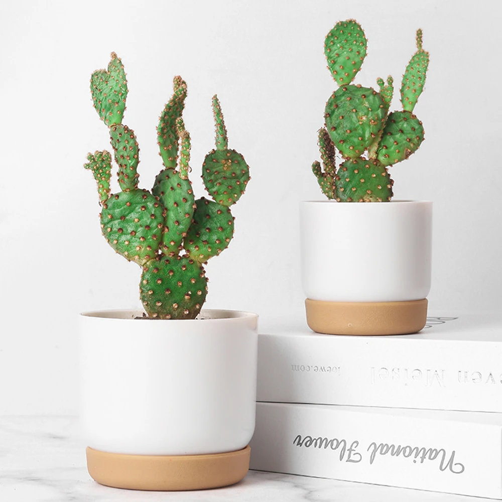 Self Watering Flowerpot Automatic Water Absorption Round Double-layer Succulent Planter Pot Cactus Small Green Plant Flowerpot
Self Watering Flowerpot Automatic Water Absorption Round Double-layer Succulent Planter Pot Cactus Small Green Plant Flowerpot