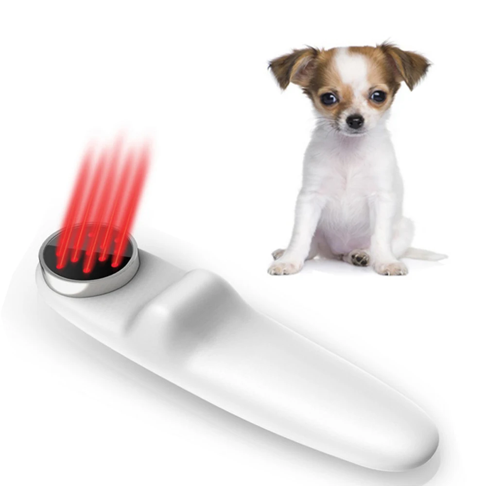 Physiotherapy Equipment Medical Equine Therapy Pet Cat/Dog/Horse Veterinary Pain 808nm Low Level Laser Therapy Device
Physiotherapy Equipment Medical Equine Therapy Pet Cat/Dog/Horse Veterinary Pain 808nm Low Level Laser Therapy Device