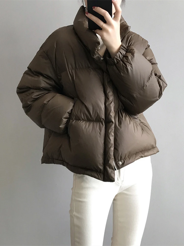 Short Down Jacket Women's Autumn And Winter New Korean Version Loose Thickened Bread Jacket Casual Warm Coat Female
Short Down Jacket Women's Autumn And Winter New Korean Version Loose Thickened Bread Jacket Casual Warm Coat Female