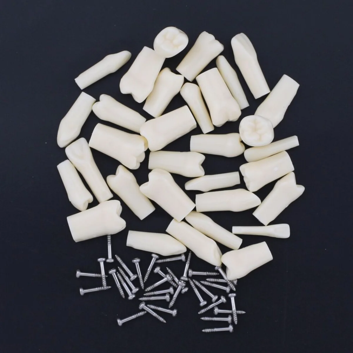 32pcs Dental Upper Lower Replacement Typodont Teeth Model Compatible with Kilgore Nissin 200 #8025
32pcs Dental Upper Lower Replacement Typodont Teeth Model Compatible with Kilgore Nissin 200 #8025