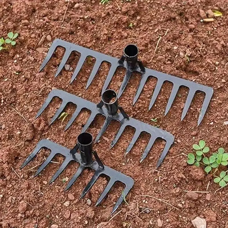Metal Garden Rake Heavy Duty Carbon Steel Rake Replacement Dethatching Rake With Sharp Teeth For Weeding
Metal Garden Rake Heavy Duty Carbon Steel Rake Replacement Dethatching Rake With Sharp Teeth For Weeding