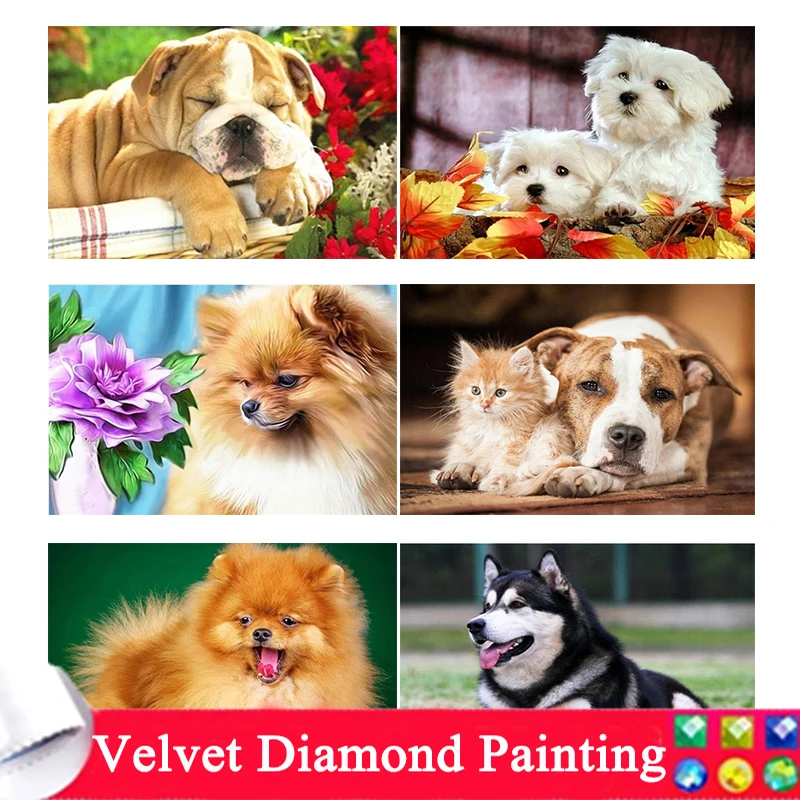 

Полноразмерная алмазная живопись с собакой 5D, «сделай сам», животное, полная Алмазная вышивка, Набор для вышивки крестиком, ручная работа, подарок, украшение для дома, искусство AAA315