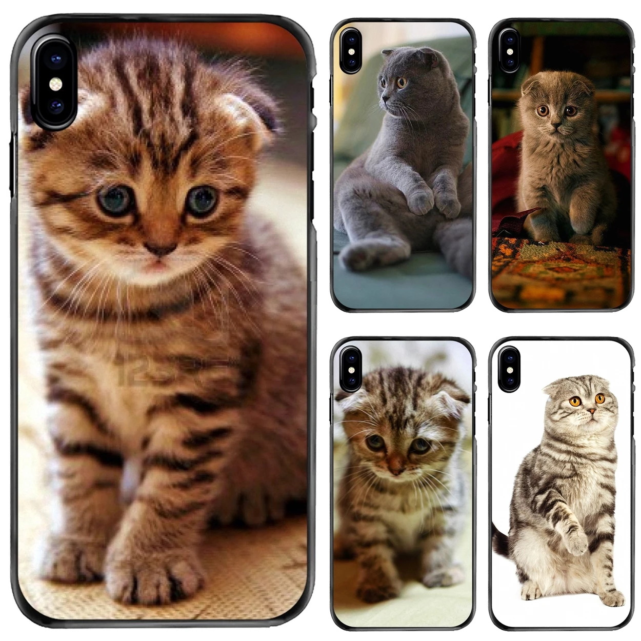 Hard Phone Bag Case For Apple iPhone 11 12 13 14 Pro MAX Mini 5 5S SE 6 6S 7 8 Plus 10 X XR XS Scottish cat Felis catus Scotland
Hard Phone Bag Case For Apple iPhone 11 12 13 14 Pro MAX Mini 5 5S SE 6 6S 7 8 Plus 10 X XR XS Scottish cat Felis catus Scotland