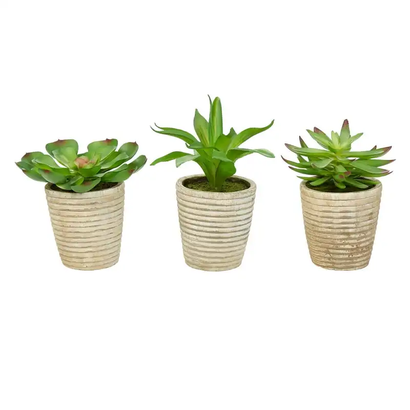 Faux Succulents – Assorted Lifelike Plastic Arrangements in Decorative (Set of 3)
Faux Succulents – Assorted Lifelike Plastic Arrangements in Decorative (Set of 3)
