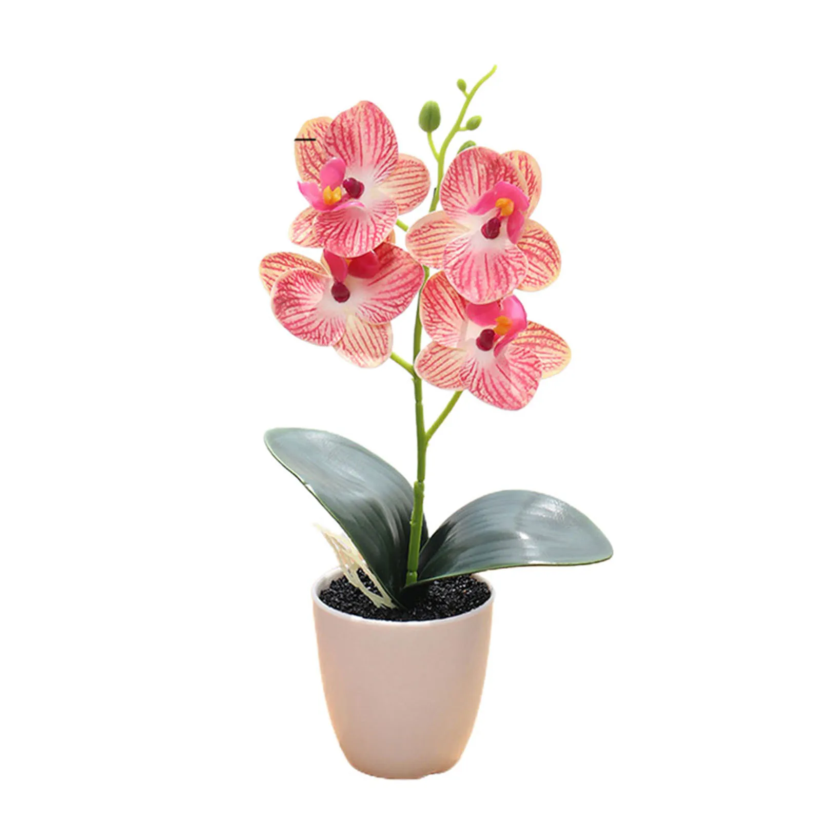 4 Heads Artificial Fake Butterfly Orchid Flower Filled Life For House Garden Wedding Decor Arrangements Flower Aesthetic Supplie
4 Heads Artificial Fake Butterfly Orchid Flower Filled Life For House Garden Wedding Decor Arrangements Flower Aesthetic Supplie