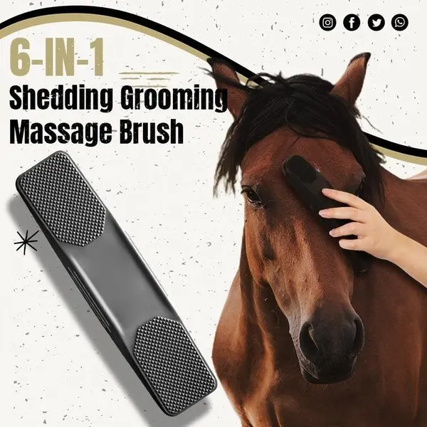 Hair Removal Grooming Massage Brush Multifunctional Horse Brush Hair Removal Grooming Tool Horse Grooming Hair Removal Tool
Hair Removal Grooming Massage Brush Multifunctional Horse Brush Hair Removal Grooming Tool Horse Grooming Hair Removal Tool