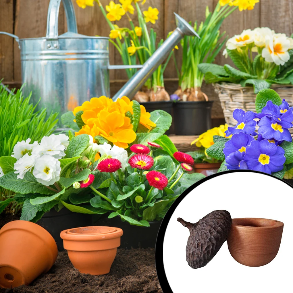 Декоративная банка, прочная водонепроницаемая отделка, европейская, американская сельская мебель ручной работы, неровная
Декоративная банка, прочная водонепроницаемая отделка, европейская, американская сельская мебель ручной работы, неровная