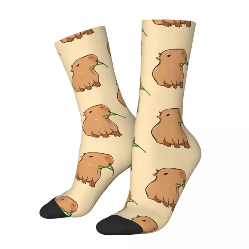 Funny MEN'S socks with a leaf vintage Harajuku capybara hip hop casual crew Crazy sock gift pattern printed
Funny MEN'S socks with a leaf vintage Harajuku capybara hip hop casual crew Crazy sock gift pattern printed