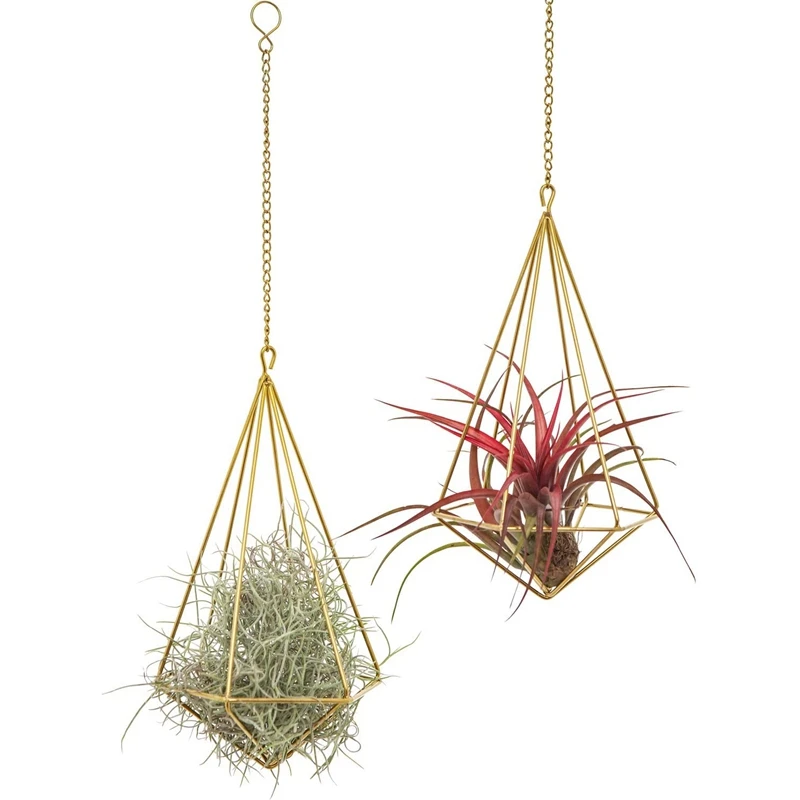 2 Packs Hanging Air Plant Holder Modern Geometric Planter With Chain Tillandsia Container Himmeli Wall Decoration
2 Packs Hanging Air Plant Holder Modern Geometric Planter With Chain Tillandsia Container Himmeli Wall Decoration