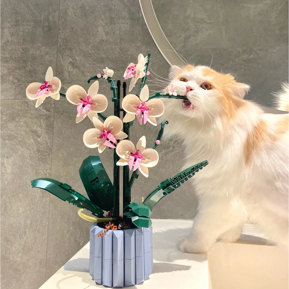 MOC Bouquet Orchid Building Blocks DIY Flower Succulents Potted Bricks For 10311 Model Romantic Plant Assembly Toy Girls Gifts
MOC Bouquet Orchid Building Blocks DIY Flower Succulents Potted Bricks For 10311 Model Romantic Plant Assembly Toy Girls Gifts