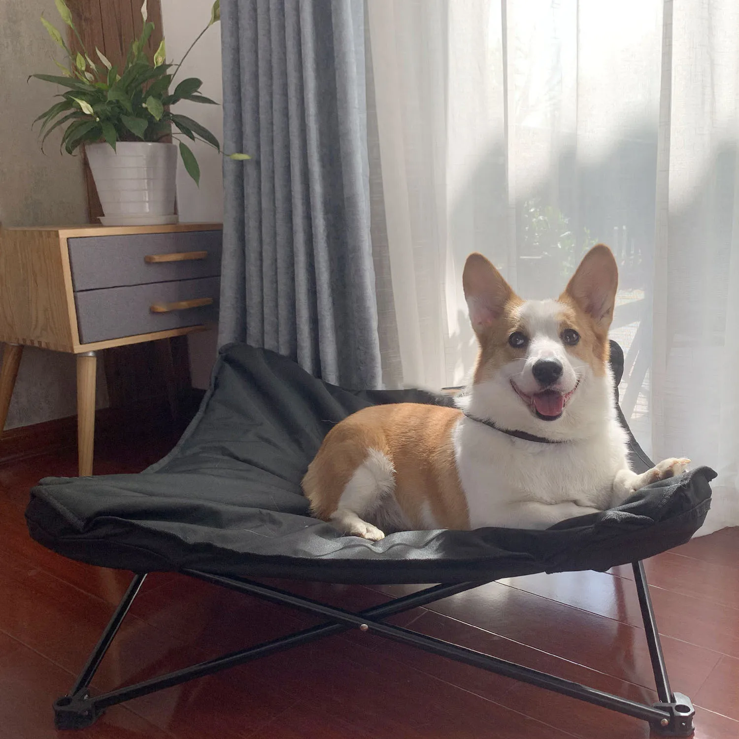Pattern Pet Camp Bed Japanese and Korean Popular Oxford Cloth Detachable Outdoor Dog Supplies Elevated Bed Iron Kennel
Pattern Pet Camp Bed Japanese and Korean Popular Oxford Cloth Detachable Outdoor Dog Supplies Elevated Bed Iron Kennel