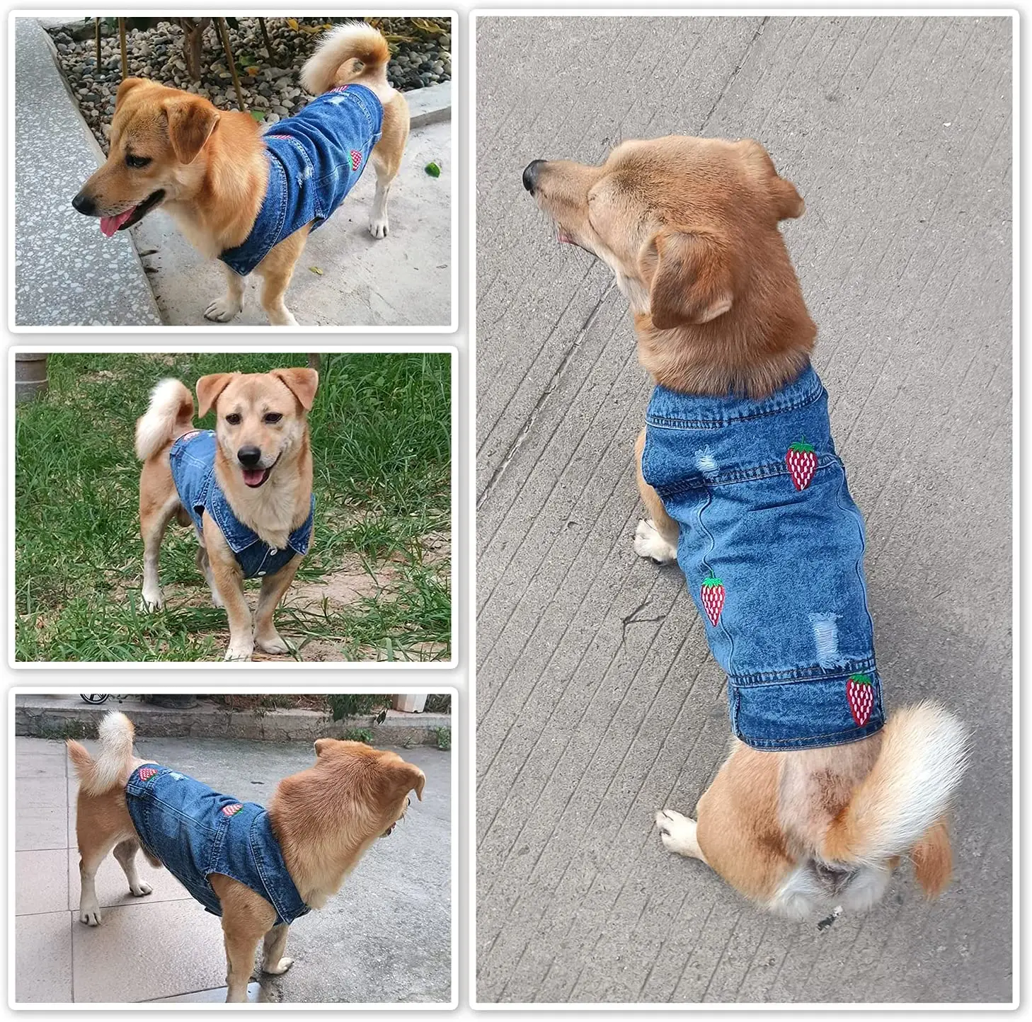 Small Dog Clothes Denim Dog Jacket Girl Boy Puppy Shirt Yorkie Jeans Outfit Cute Pet Vest for Chihuahua, French Bulldog, Cats
Small Dog Clothes Denim Dog Jacket Girl Boy Puppy Shirt Yorkie Jeans Outfit Cute Pet Vest for Chihuahua, French Bulldog, Cats