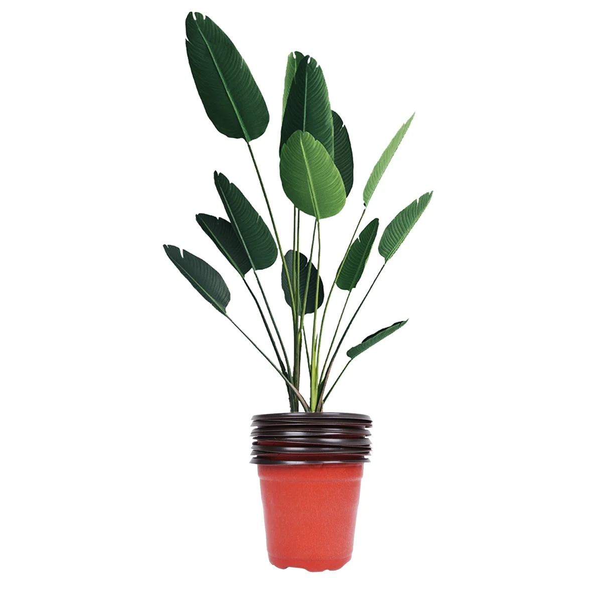 50pcs Flower Pot Flexible Nursery Pot Container for Indoor Outdoor Plants Vegetables Succulents 100x85x95mm
50pcs Flower Pot Flexible Nursery Pot Container for Indoor Outdoor Plants Vegetables Succulents 100x85x95mm