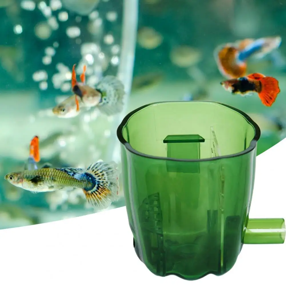 Reusable Practical Fish Tank Water Purifier Filter Box Compact Aquarium Filter Multipurpose Fish Supplies
Reusable Practical Fish Tank Water Purifier Filter Box Compact Aquarium Filter Multipurpose Fish Supplies
