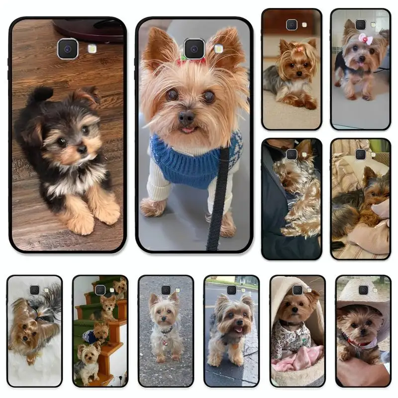 Yorkshire terrier dog Phone Case for Samsung J7 J5 J2 Pro Prime J6 J4 Plus J8 A72 A52 A42 A32 A21 Soft Tpu Cover
Yorkshire terrier dog Phone Case for Samsung J7 J5 J2 Pro Prime J6 J4 Plus J8 A72 A52 A42 A32 A21 Soft Tpu Cover