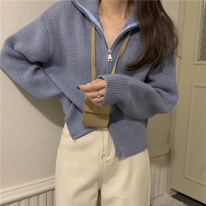 Autumn/Winter Korean 3D Zipper Design Feel Sweater Design Feel Foreign Polo Neck Knitted Cardigan
Autumn/Winter Korean 3D Zipper Design Feel Sweater Design Feel Foreign Polo Neck Knitted Cardigan