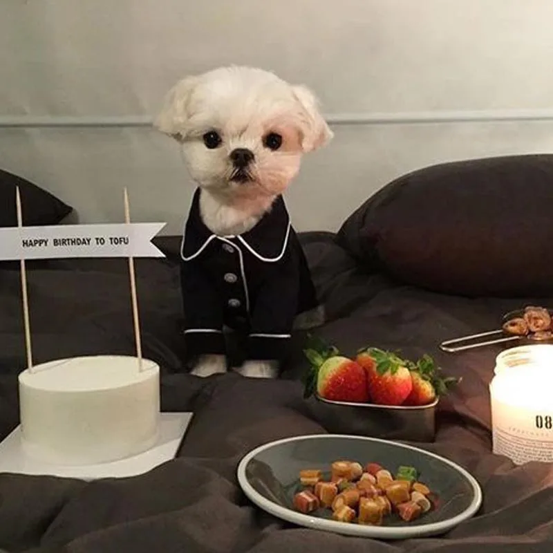 Одежда для домашних животных Bulldog, модный костюм для собак, пижама средней длины, одежда для французских собак, одежда для маленьких собак, одежда для щенков чихуахуа, домашних животных
Одежда для домашних животных Bulldog, модный костюм для собак, пижама средней длины, одежда для французских собак, одежда для маленьких собак, одежда для щенков чихуахуа, домашних животных