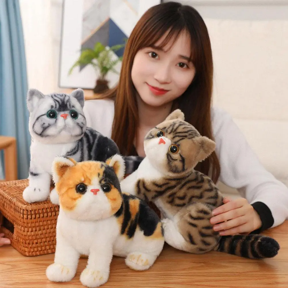 26cm Stuffed Lifelike Cats Plush Toy Simulation Stuffed Animal American Shorthair Doll Home Decor Gift For Girls Birthday O0F8
26cm Stuffed Lifelike Cats Plush Toy Simulation Stuffed Animal American Shorthair Doll Home Decor Gift For Girls Birthday O0F8