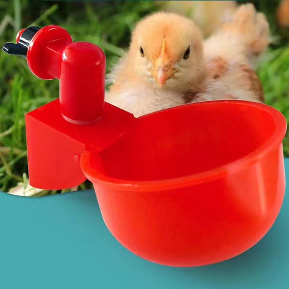 Automatic Chicken Water Cup Waterer Bowl Kit Farm Coop Poultry Waterer Drinking Water Feeder for Chicks Duck Goose Turkey Quail
Automatic Chicken Water Cup Waterer Bowl Kit Farm Coop Poultry Waterer Drinking Water Feeder for Chicks Duck Goose Turkey Quail