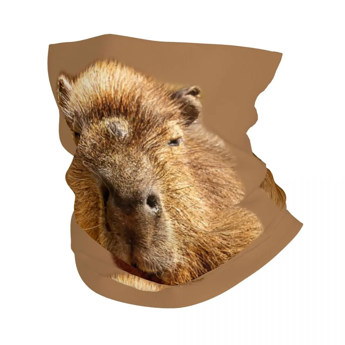 Capybara Dozing In The Sunshine Printing Bandana Neck Gaiter Windproof Face Scarf Cover Men Women Headwear Tube Balaclava
Capybara Dozing In The Sunshine Printing Bandana Neck Gaiter Windproof Face Scarf Cover Men Women Headwear Tube Balaclava