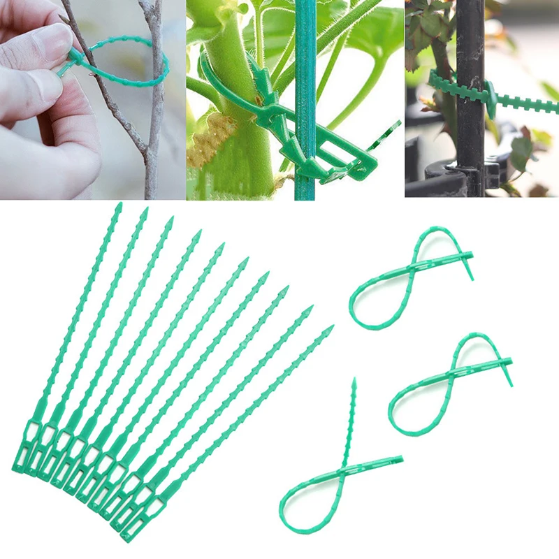 100PCS Plant Ties Reusable Fastener Greenhouse Grow Kit For Plants Hanging Vine Garden Greenhouse Vegetables Tomatoes Clips
100PCS Plant Ties Reusable Fastener Greenhouse Grow Kit For Plants Hanging Vine Garden Greenhouse Vegetables Tomatoes Clips