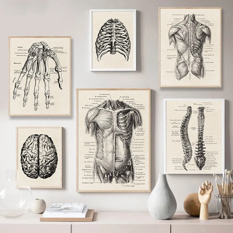 Vintage Medical Room Brain Human Anatomy Heart Posters And Prints Hospital Canvas Painting Doctor Office Decor Wall Art Pictures
Vintage Medical Room Brain Human Anatomy Heart Posters And Prints Hospital Canvas Painting Doctor Office Decor Wall Art Pictures
