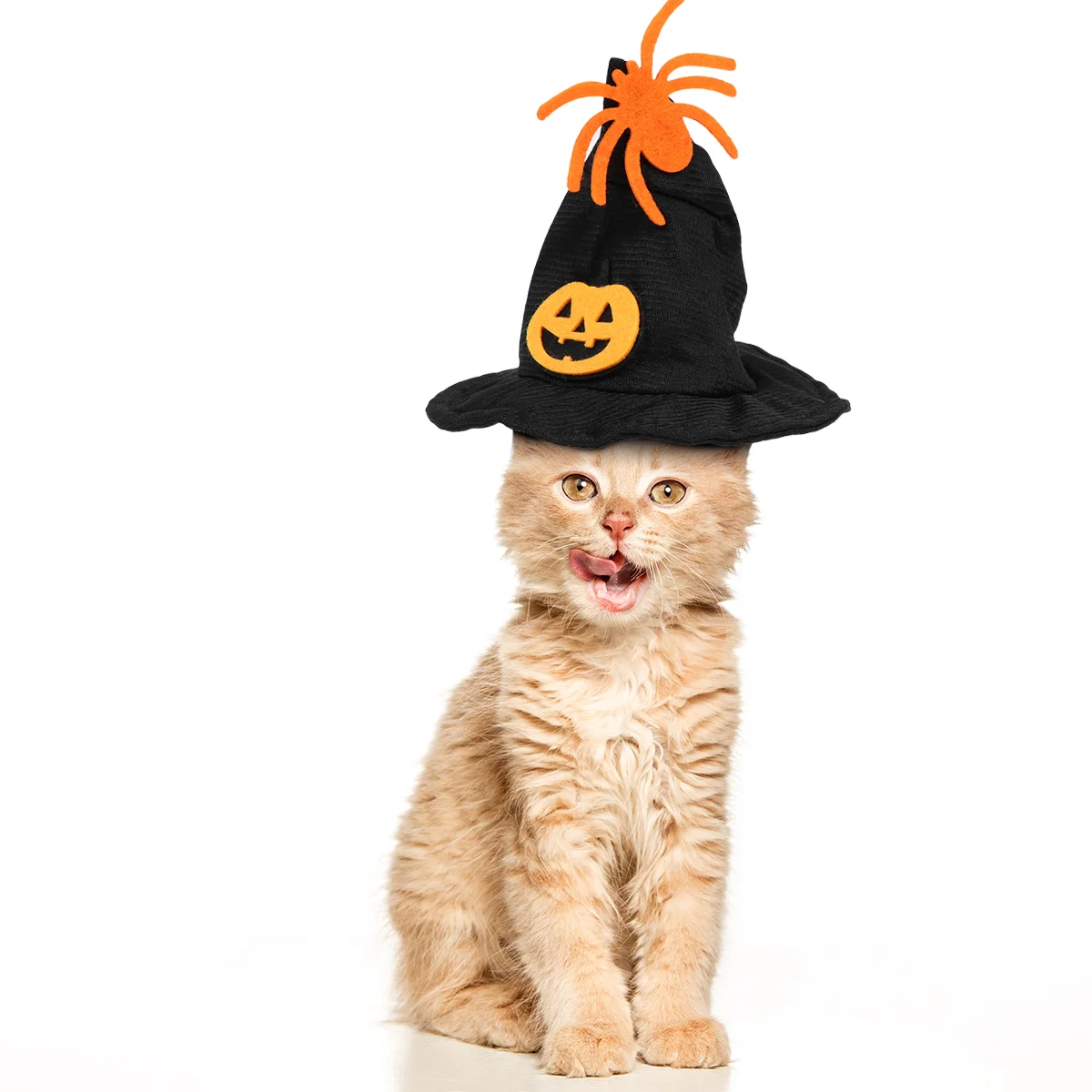 1PC Pumpkin Hat for Cats Cat Headwear Witch Hat Costume Set Kitten with Witch Hat
1PC Pumpkin Hat for Cats Cat Headwear Witch Hat Costume Set Kitten with Witch Hat
