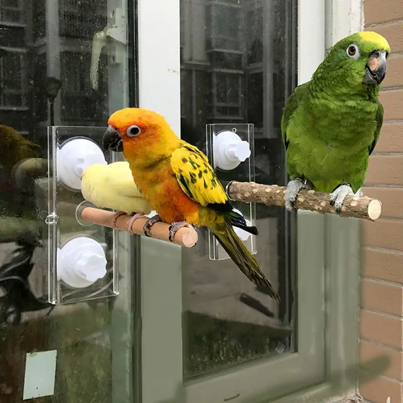 New Parrot Holder Wood Support Frame Outing Portable Car Bathing Stand with Suction Cup Parrots Toy
New Parrot Holder Wood Support Frame Outing Portable Car Bathing Stand with Suction Cup Parrots Toy