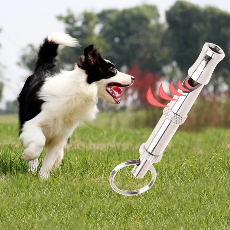 Pet Dog Training Obedience Whistle Ultrasonic Supersonic Sound Pitch Quiet Adjustable Flute Puppy
Pet Dog Training Obedience Whistle Ultrasonic Supersonic Sound Pitch Quiet Adjustable Flute Puppy