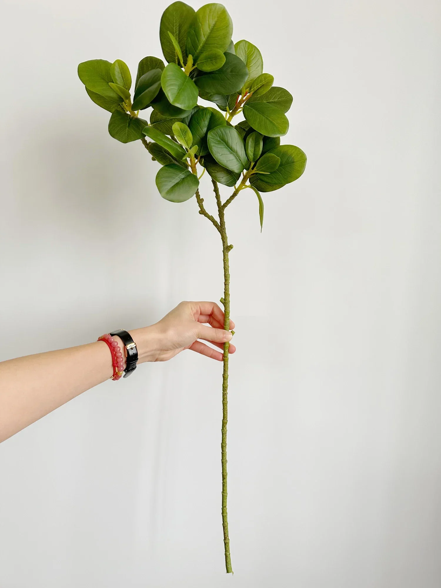 Искусственные фикусы для декора
Искусственные фикусы для декора