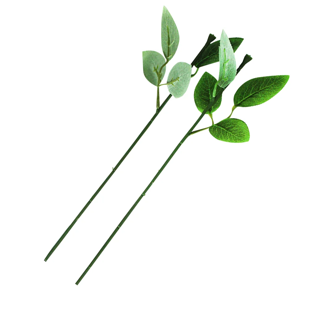 Wire Stem Flower Stems Floral Artificialleaves Rose Green Greenery Fauxleaf Bouquet Branches Florist Making Arrangementcraft
Wire Stem Flower Stems Floral Artificialleaves Rose Green Greenery Fauxleaf Bouquet Branches Florist Making Arrangementcraft