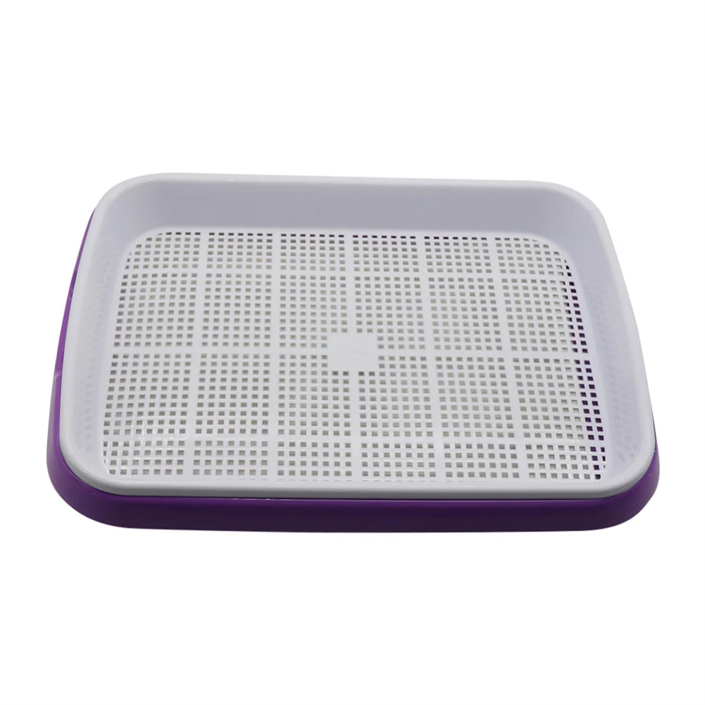 Durable Sprouting Tray For Microgreens And Sprouts Hydroponic Vegetable Beans Pot Green Purple Gardening Supplies
Durable Sprouting Tray For Microgreens And Sprouts Hydroponic Vegetable Beans Pot Green Purple Gardening Supplies