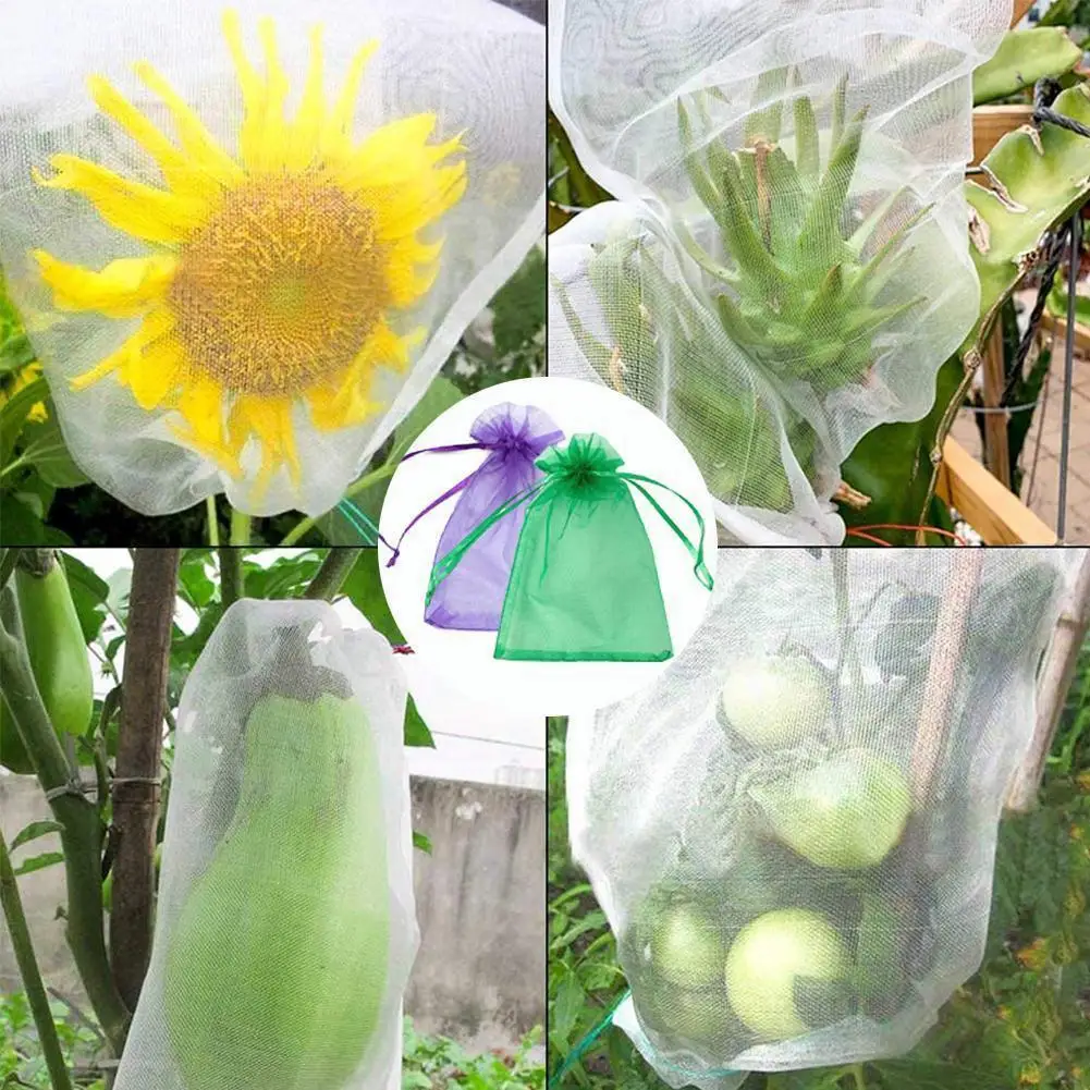 50Pcs Fruit Protection Bags Pest Control Anti-Bird Strawberry Drawstring Bags Garden Bag Grow Grapes Bags Net Plant Mesh H9I7
50Pcs Fruit Protection Bags Pest Control Anti-Bird Strawberry Drawstring Bags Garden Bag Grow Grapes Bags Net Plant Mesh H9I7